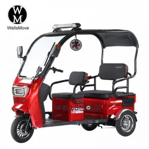 Cargo tricycle for tourism use