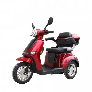 New model big mobility