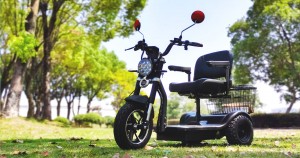 rentals scooter mobilitas kanggo kapal pesiar