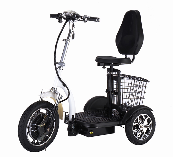 mobility scooter