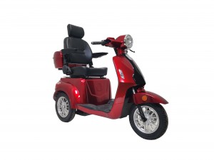 mobility scooter