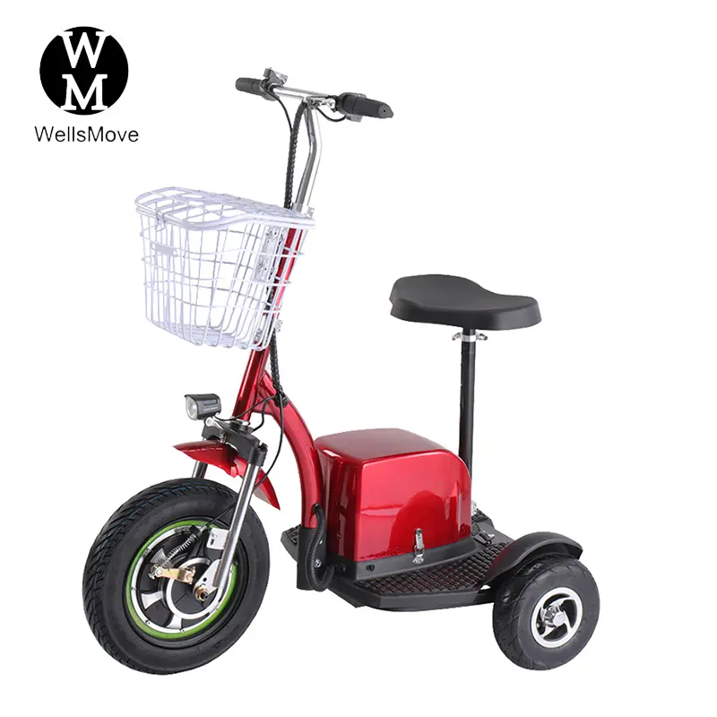 trourism rental electric scooter